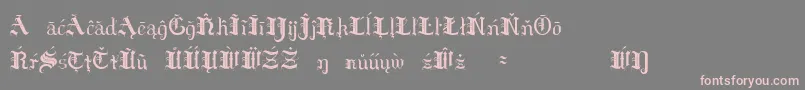 HildaSonnenscheinExtraCharacters Font – Pink Fonts on Gray Background
