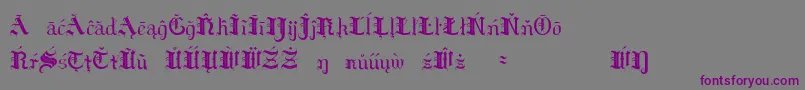 HildaSonnenscheinExtraCharacters Font – Purple Fonts on Gray Background