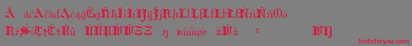 フォントHildaSonnenscheinExtraCharacters – 赤い文字の灰色の背景