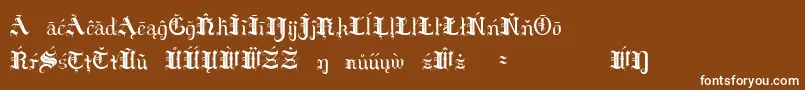 フォントHildaSonnenscheinExtraCharacters – 茶色の背景に白い文字