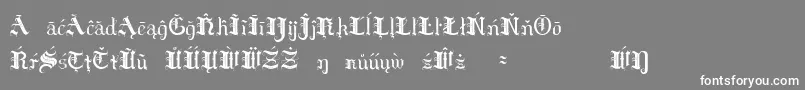 HildaSonnenscheinExtraCharacters Font – White Fonts on Gray Background