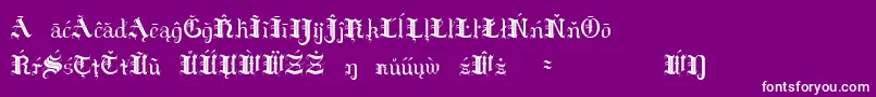 HildaSonnenscheinExtraCharacters Font – White Fonts on Purple Background