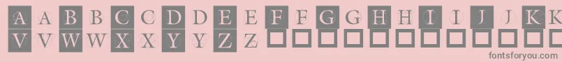 Theroots Font – Gray Fonts on Pink Background