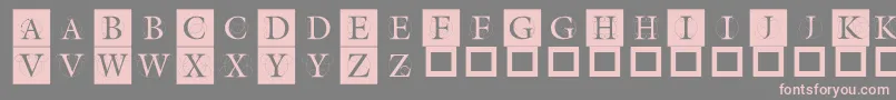 Theroots Font – Pink Fonts on Gray Background