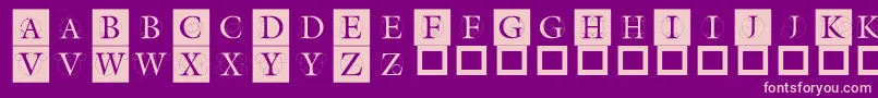 Theroots Font – Pink Fonts on Purple Background