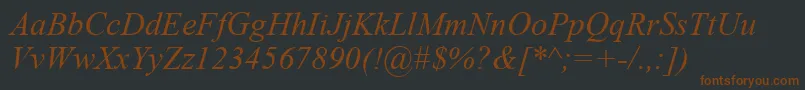 TimesNewRomanCeItalic Font – Brown Fonts on Black Background