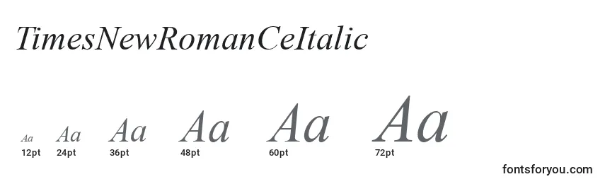 TimesNewRomanCeItalic Font Sizes