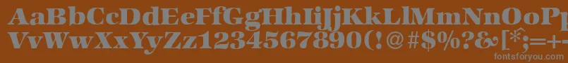 ZabriskieinternationalHeavyRegular Font – Gray Fonts on Brown Background
