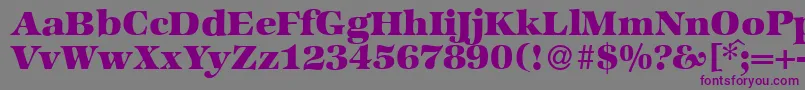 ZabriskieinternationalHeavyRegular Font – Purple Fonts on Gray Background