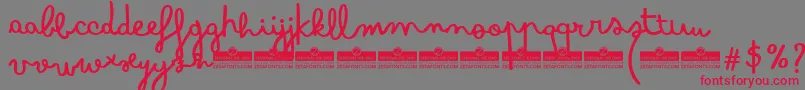 BimboSharpieTrial Font – Red Fonts on Gray Background