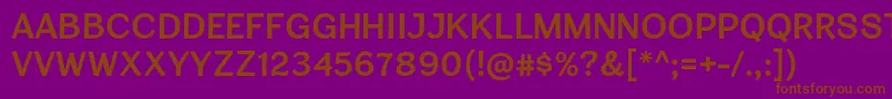 CardiganTitlingSb Font – Brown Fonts on Purple Background