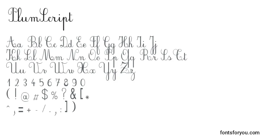 Czcionka PlumScript – alfabet, cyfry, specjalne znaki