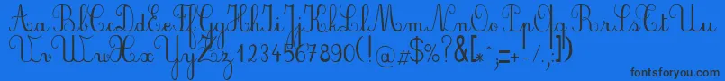 PlumScript Font – Black Fonts on Blue Background