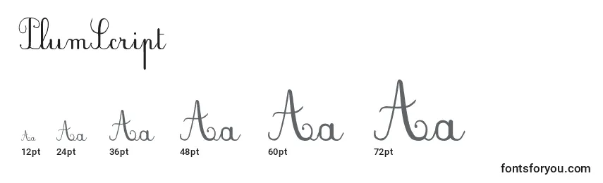 PlumScript Font Sizes