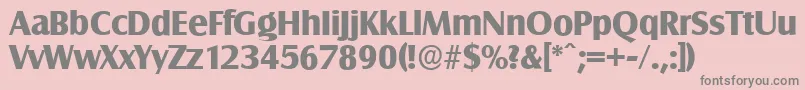 SalzburgserialXboldRegular Font – Gray Fonts on Pink Background