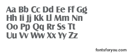 Review of the SalzburgserialXboldRegular Font