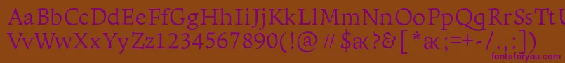 LeksaproLight Font – Purple Fonts on Brown Background