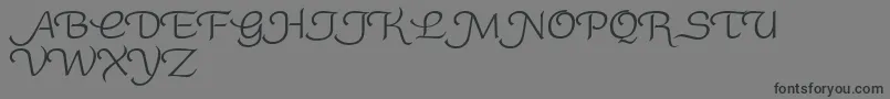 RoundySwash-Schriftart – Schwarze Schriften auf grauem Hintergrund