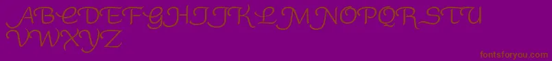 RoundySwash-Schriftart – Braune Schriften auf violettem Hintergrund