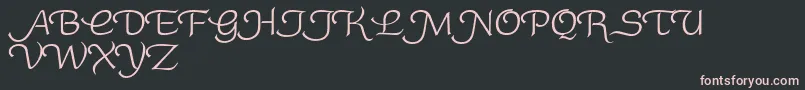 RoundySwash Font – Pink Fonts on Black Background