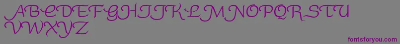 RoundySwash-fontti – violetit fontit harmaalla taustalla