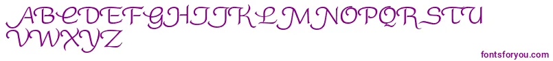 RoundySwash Font – Purple Fonts on White Background