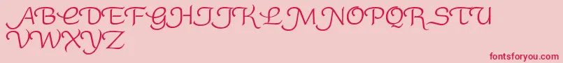 RoundySwash Font – Red Fonts on Pink Background