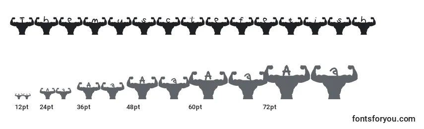 Tamaños de fuente Themusclefetish