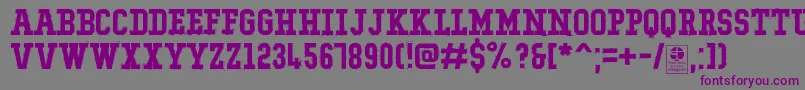 TypoCollegeRockingDemo Font – Purple Fonts on Gray Background