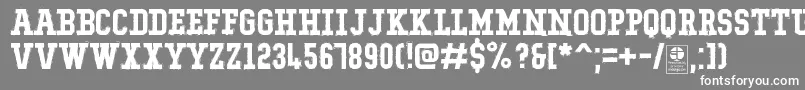 TypoCollegeRockingDemo Font – White Fonts on Gray Background