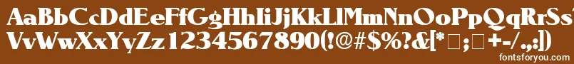 BlendenDisplaySsi Font – White Fonts on Brown Background