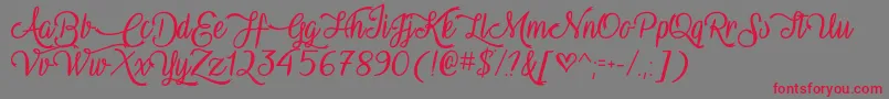 VampireCalligraphyOtf Font – Red Fonts on Gray Background