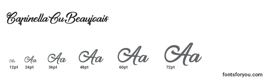 CapinellaOuBeaujoais Font Sizes