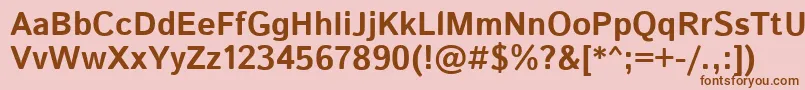IstokwebBold Font – Brown Fonts on Pink Background