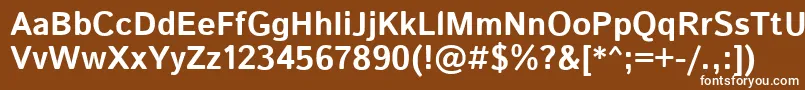 フォントIstokwebBold – 茶色の背景に白い文字
