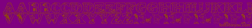 LmsWoodysRoundup-fontti – ruskeat fontit violetilla taustalla