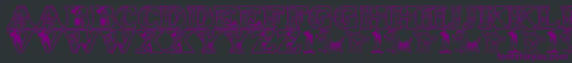 LmsWoodysRoundup Font – Purple Fonts on Black Background