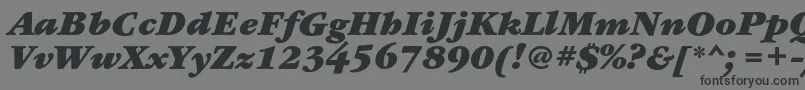 フォントGaramondbookcBolditalic – 黒い文字の灰色の背景