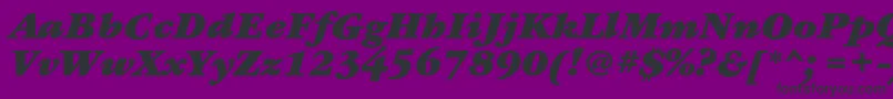 GaramondbookcBolditalic Font – Black Fonts on Purple Background