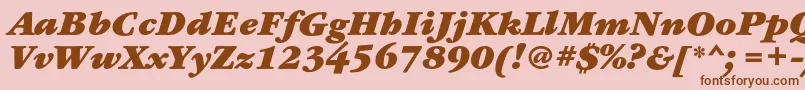 GaramondbookcBolditalic Font – Brown Fonts on Pink Background