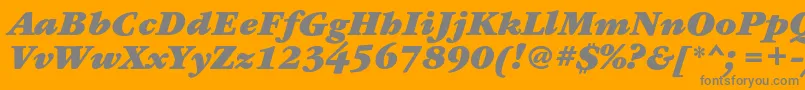 GaramondbookcBolditalic Font – Gray Fonts on Orange Background