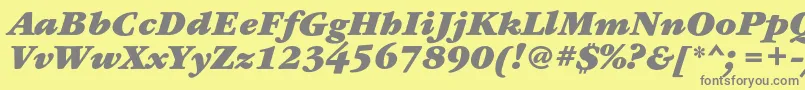 フォントGaramondbookcBolditalic – 黄色の背景に灰色の文字