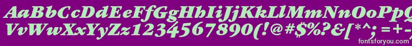 GaramondbookcBolditalic Font – Green Fonts on Purple Background