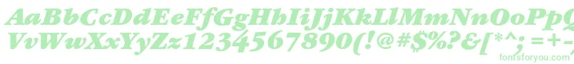 GaramondbookcBolditalic Font – Green Fonts