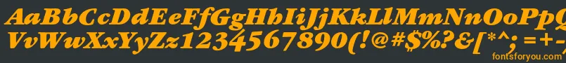 GaramondbookcBolditalic-Schriftart – Orangefarbene Schriften auf schwarzem Hintergrund