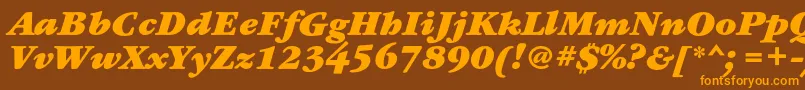 GaramondbookcBolditalic Font – Orange Fonts on Brown Background