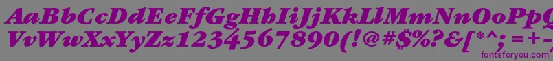 Шрифт GaramondbookcBolditalic – фиолетовые шрифты на сером фоне