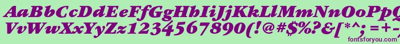 GaramondbookcBolditalic Font – Purple Fonts on Green Background