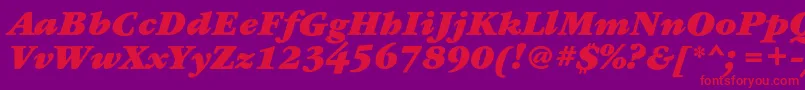 GaramondbookcBolditalic Font – Red Fonts on Purple Background