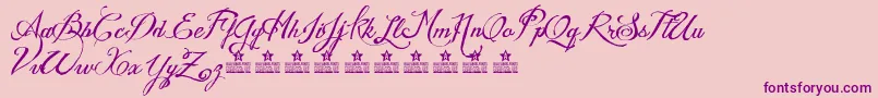 WeddingNightmaresPersonalUse Font – Purple Fonts on Pink Background